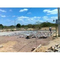 MÃO DE OBRA COLOCAÇÃO PARALELEPIPEDO